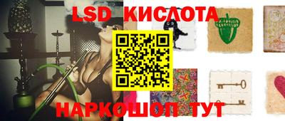 мяу мяу мука Кандалакша