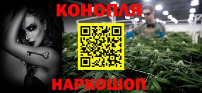 мяу мяу мука Кандалакша