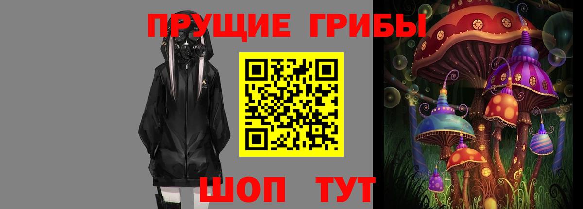Псилоцибиновые грибы прущие грибы Лабинск